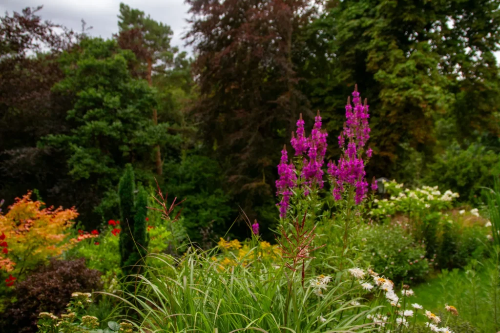 Learn how to create a stunning garden right here in North Yorkshire on one of our courses and workshops.