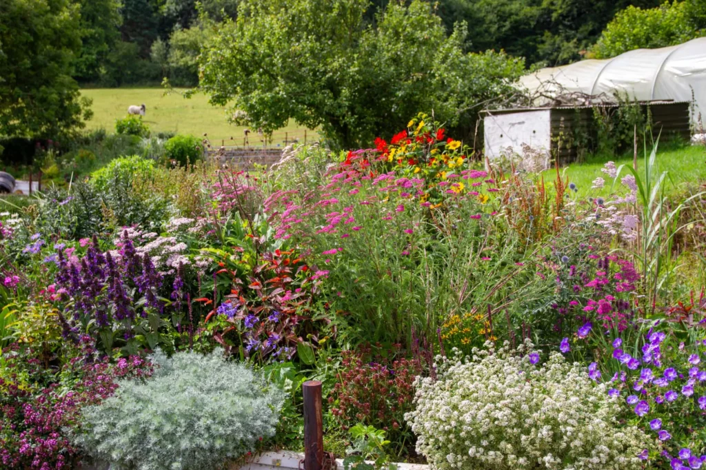 Garden border, learn how to with our Garden Design Courses here in North Yorkshire.