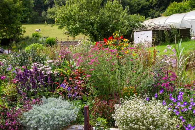 Garden border, learn how to with our Garden Design Courses here in North Yorkshire.
