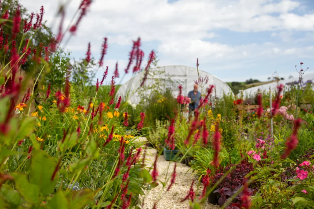 Our plant nursery in Scarborough, North Yorkshire, offering courses and workshops for garden design and much more.