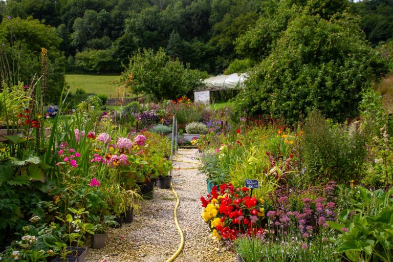 Prospect Plant Nursery offering Gardening Course in North Yorkshire