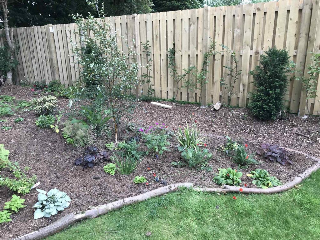 Creating a new border with mulching and horse manure.