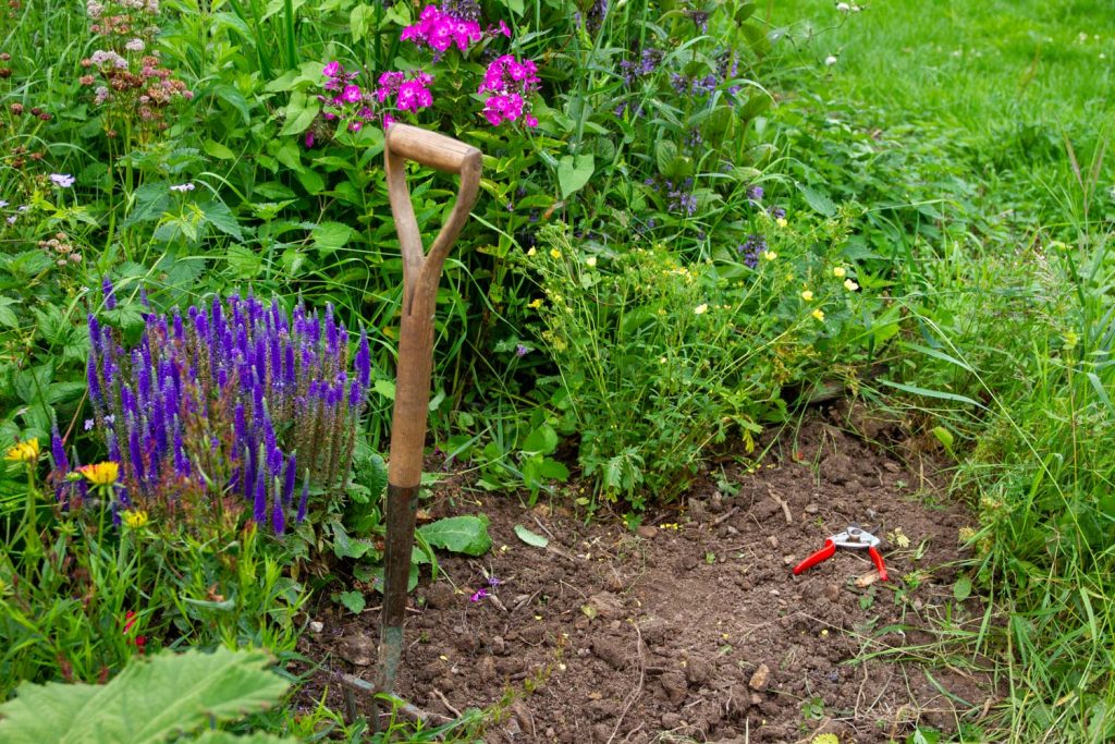 Garden techniques course here in North Yorkshire. Learn how to work with nature not against it.